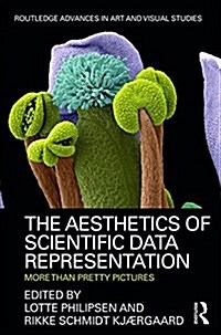 The Aesthetics of Scientific Data Representation : More Than Pretty Pictures (Hardcover)