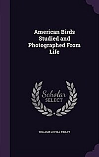 American Birds Studied and Photographed from Life (Hardcover)