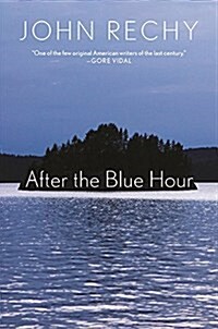 After the Blue Hour (Hardcover)