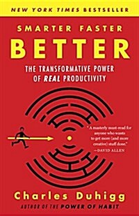 Smarter Faster Better: The Transformative Power of Real Productivity (Paperback)