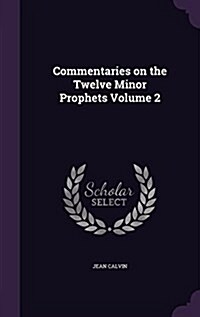 Commentaries on the Twelve Minor Prophets Volume 2 (Hardcover)