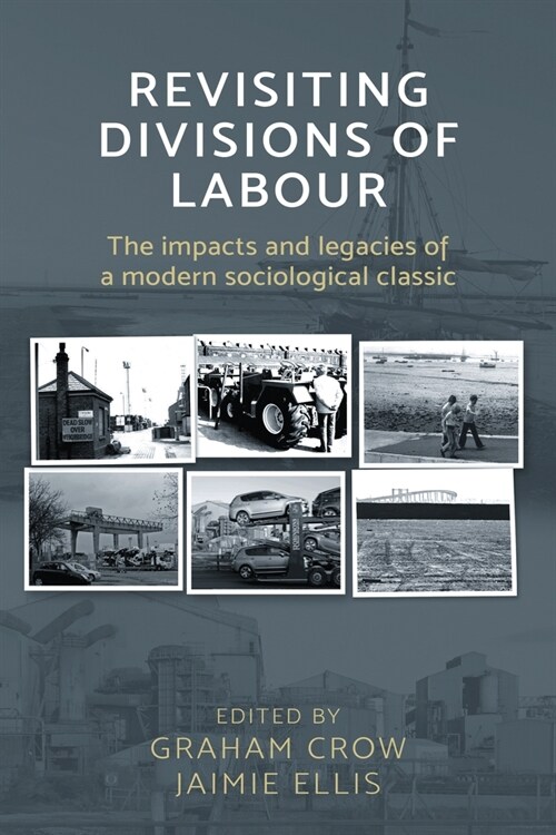 Revisiting  Divisions of Labour : The Impacts and Legacies of a Modern Sociological Classic (Paperback)