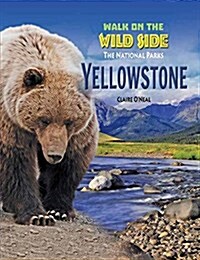 Yellowstone (Hardcover)
