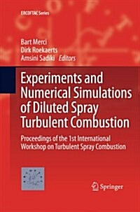 Experiments and Numerical Simulations of Diluted Spray Turbulent Combustion: Proceedings of the 1st International Workshop on Turbulent Spray Combusti (Paperback)