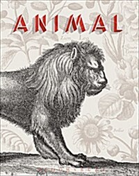 Animal : A Beastly Compendium (Hardcover)