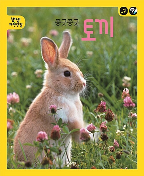 쫑긋쫑긋 토끼 - 전2권 (본책 + 액티비티북) (토끼펜 별매)