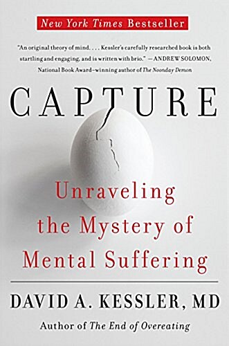 Capture: Unraveling the Mystery of Mental Suffering (Paperback)