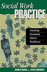 Social Work Practice: Treating Common Client Problems (Paperback)