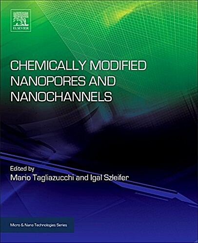 Chemically Modified Nanopores and Nanochannels (Hardcover)