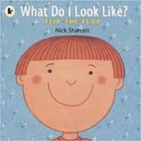 What Do I Look Like? : Flip the Flap (Paperback)