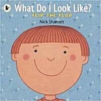 [중고] What Do I Look Like? : Flip the Flap (Paperback)