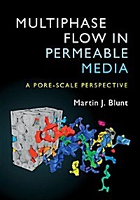 Multiphase Flow in Permeable Media : A Pore-Scale Perspective (Hardcover)