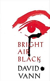 Bright Air Black (Hardcover)