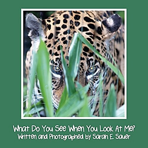 What Do You See When You Look at Me? (Paperback)