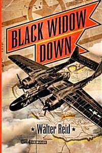 Black Widow Down (Paperback)