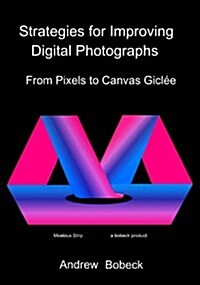 Strategies for Improving Digital Photographs: From Pixels to Canvas Giclee (Paperback)