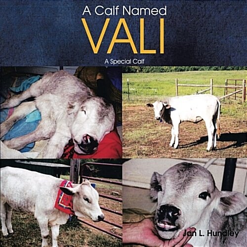 A Calf Named Vali: A Special Calf (Paperback)