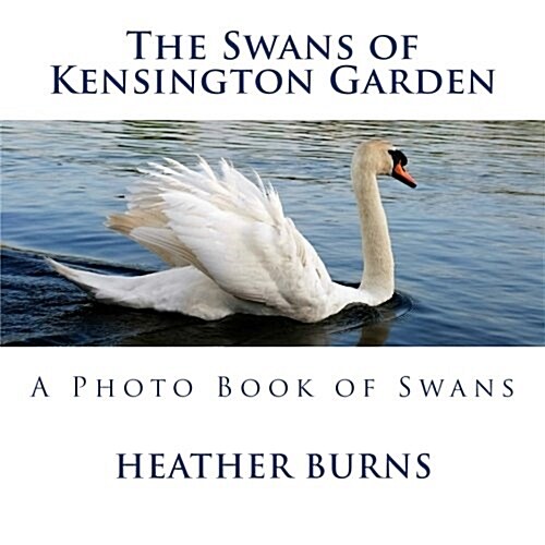 The Swans of Kensington Garden: A Photo Book of Swans (Paperback)