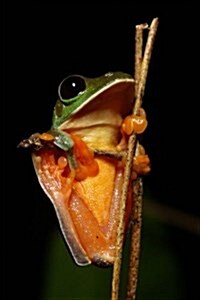 Morelets Tree Frog (Agalychnis Moreletii) Journal: 150 Page Lined Notebook/Diary (Paperback)