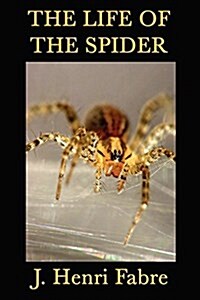 The Life of the Spider (Paperback)