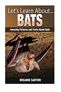 Bats: Amazing Pictures and Facts about Bats (Paperback)