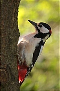 Great Spotted Woodpecker, Birds of the World: Blank 150 Page Lined Journal for Your Thoughts, Ideas, and Inspiration (Paperback)