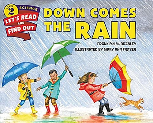 Down Comes the Rain (Hardcover)
