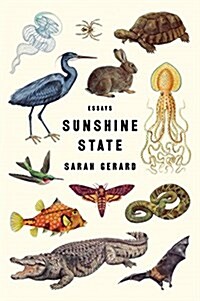 Sunshine State: Essays (Paperback)