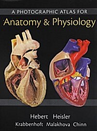 Practice Anatomy Lab 3.0 Lab Guide; Modified Mastering A&p with Pearson Etext -- Standalone Access Card -- For Human Anatomy & Physiology; Photographi (Hardcover)