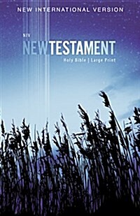 NIV, Outreach New Testament, Large Print, Paperback (Paperback, Special)