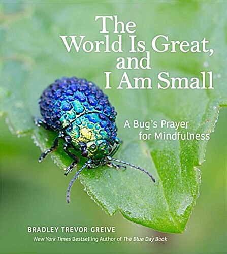 The World Is Great, and I Am Small: A Bugs Prayer for Mindfulness (Hardcover)