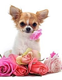 Chihuahua Holding a Rose Journal (Paperback, JOU)