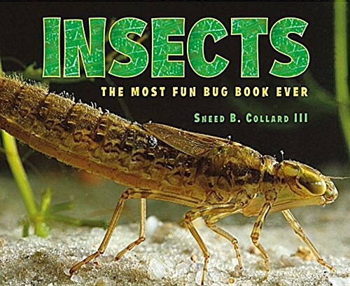 Insects: The Most Fun Bug Book Ever (Hardcover)