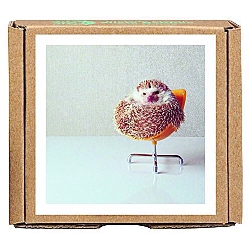 Darcy the Flying Hedgehog Greengift-Notes (Other)