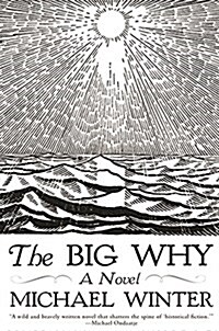 The Big Why (Paperback)