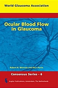 Ocular Blood Flow in Glaucoma (Hardcover)