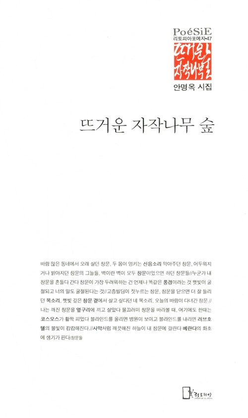 뜨거운 자작나무 숲