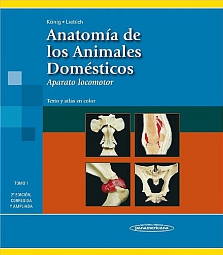 Anatomia de los animales domesticos / Anatomy of domestic animals (Hardcover)