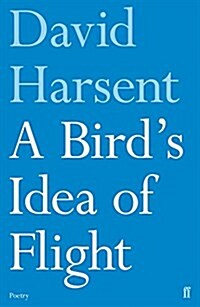 A Birds Idea of Flight (Paperback, Main)