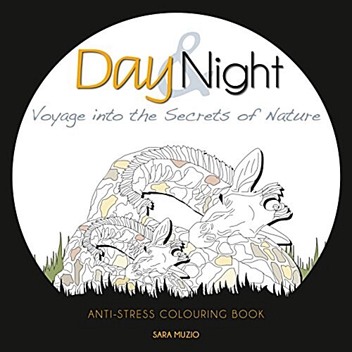 Day and Night: Journey Into the Secrets of Nature (Paperback)