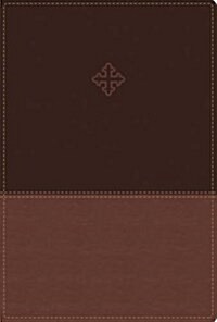 Amplified Study Bible, Imitation Leather, Brown (Imitation Leather)