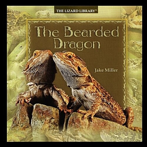 Bearded Dragon (Paperback)