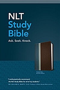 NLT Study Bible, Tutone (Imitation Leather)