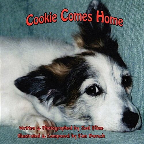 Cookie Comes Home (Paperback)