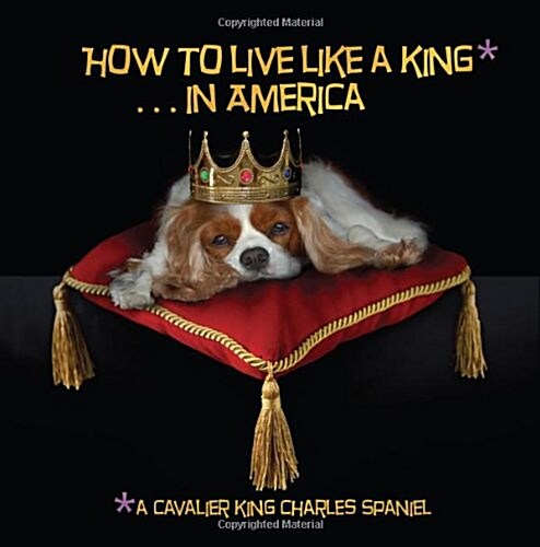 How to Live Like a King.in America (Paperback)