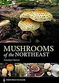 Mushrooms of the Northeastern United States and Eastern Canada (Paperback)