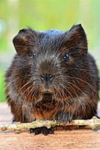 Gold Agouti Guinea Pig, for the Love of Nature: Blank 150 Page Lined Journal for Your Thoughts, Ideas, and Inspiration (Paperback)