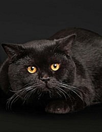 Black Cat on a Black Background, Jumbo Oversized: Blank 150 Page Lined Journal for Your Thoughts, Ideas, and Inspiration (Paperback)