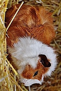 Abyssinian Guinea Pig, for the Love of Animals: Blank 150 Page Lined Journal for Your Thoughts, Ideas, and Inspiration (Paperback)