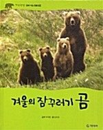 [중고] 겨울의 잠꾸러기 곰